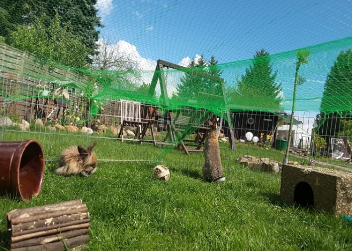 -Kleintier, Milly & Wolfgang, Tierheim Burgdorf