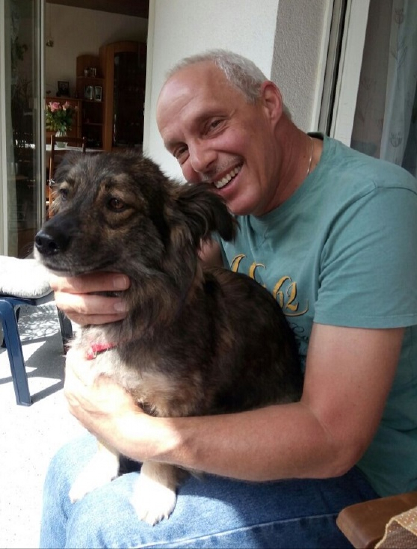 owalo design Tierheim Burgdorf Hunde