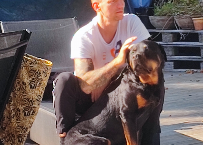 Hund, Rottweiler, Sammy, Tierheim Burgdorf